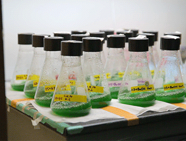 University of California