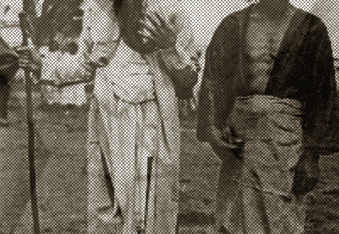 The Lives of Celestials John Young Zerunge Catalyst