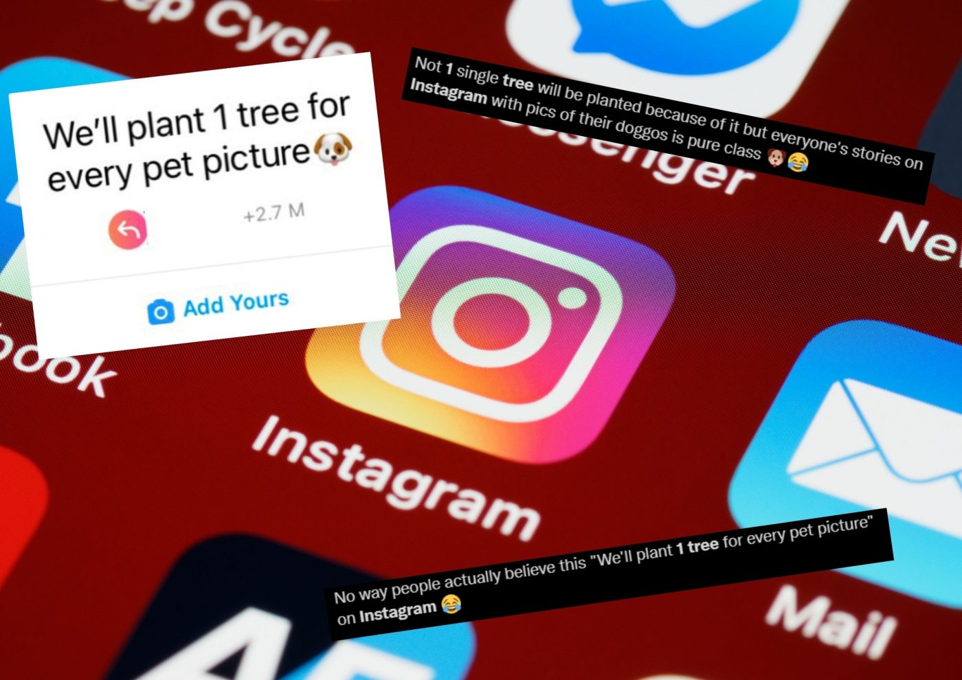 ‘We’ll plant 1 tree for every pet picture’, Yay or Nay? Catalyst